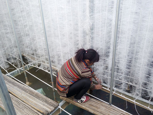 ̫���늳؏Sܛ�����ϰ��b